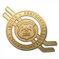 Золотая спортивная медаль 1 место РОСГОССТРАХ 2007