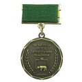 Памятная медаль За заслуги перед Шенкурским районом