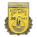 Юбилейный значок АНАДЫРСКАЯ ТЭЦ 30 лет (золотистая матовая эмаль)