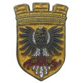 Памятный значок - герб Елизовского района Камчатского края