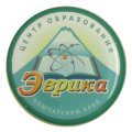 Заливные значки Центр образования ЭВРИКА Камчатский край