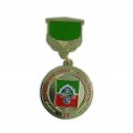 Медаль БАВЛИНСКИЙ РАЙОН