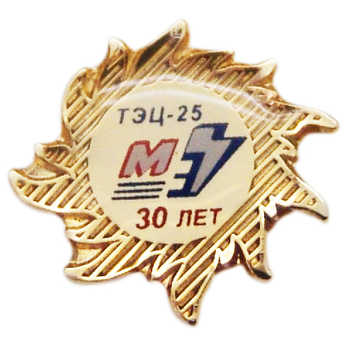 Значки с лого РАО ЕЭС России - значки 30 лет ТЭЦ 25 Значки с лого РАО ЕЭС России - значки 30 лет ТЭЦ 25