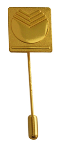 Игла-заколка для галстука с символикой Сбербанка Игла-заколка для Сбербанка