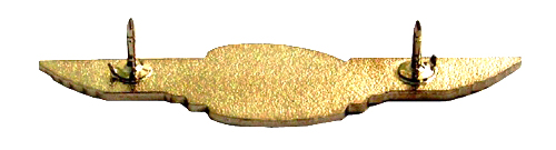 Две иглы на нагрудном знаке Две иглы на нагрудном знаке