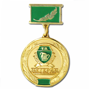Медаль почетная ВЕТЕРАН на колодке
