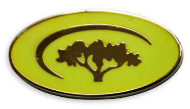 Производство значков со светящимися эмалями G3 Производство значков со светящимися эмалями G3