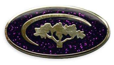 Фиолетовая эмаль с фиолетовым глиттером GPNKA Фиолетовая эмаль с фиолетовым глиттером GPNKA