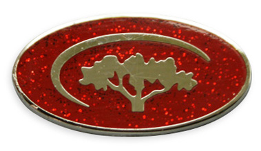 Красные прозрачные эмали для значков с глиттером GRA Красные прозрачные эмали для значков с глиттером GRA